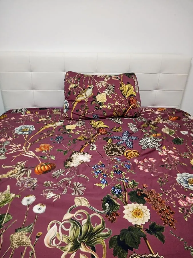 Apartma D Apartment Liznjan